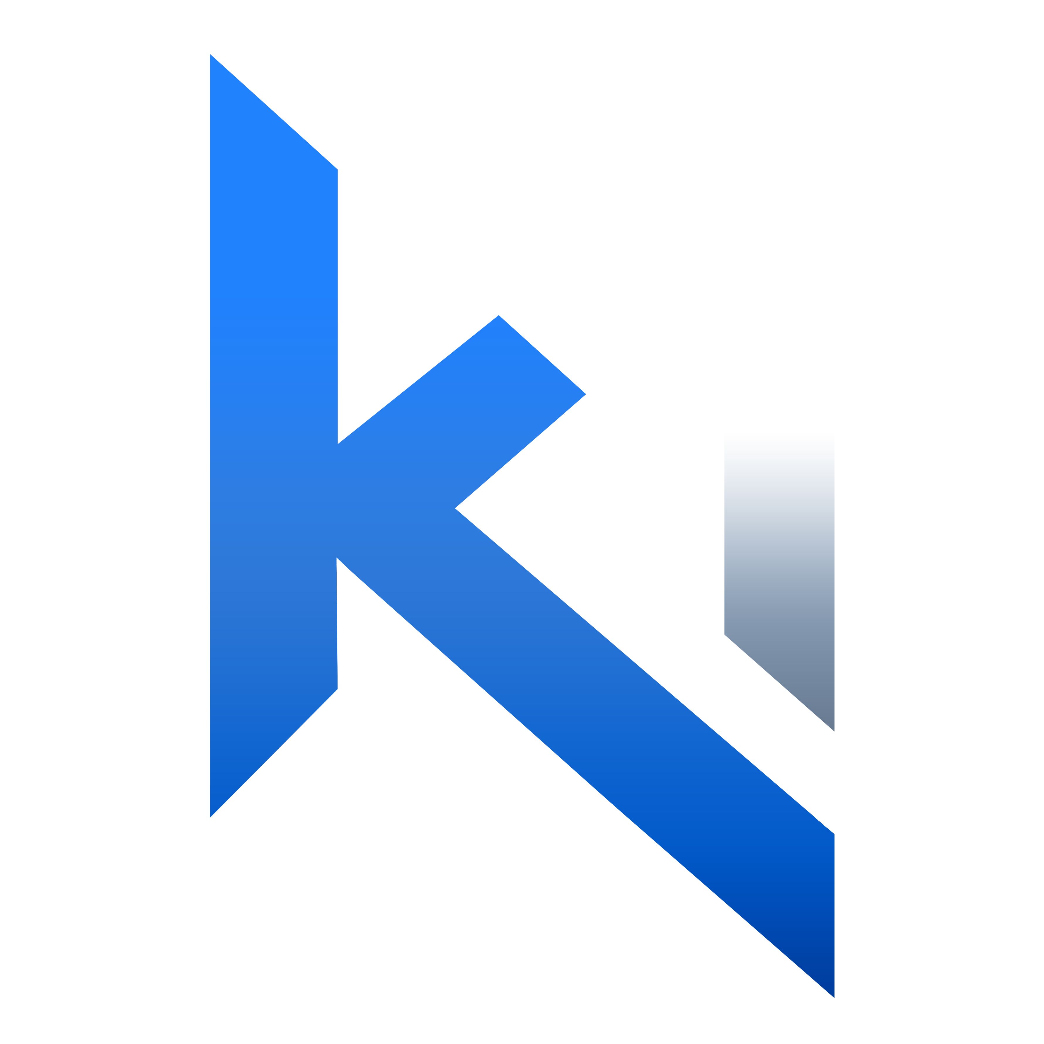 Logo Mark